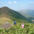 飛鵝山
