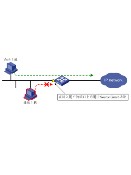 IP Source Guard IP Source Guard