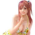 穗乃果(穗香（《死或生5：最後一戰》中的角色）)