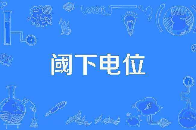 閾下電位 閾下電位
