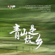 青山是故鄉 青山是故鄉