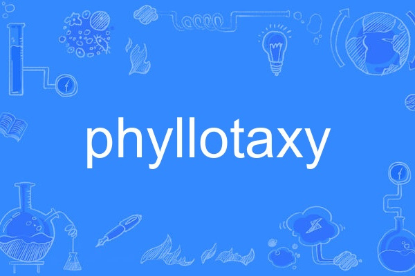 phyllotaxy phyllotaxy