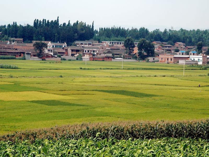 小吉擺村 小吉擺村