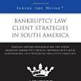 Bankruptcy Law Client Strategies in South America