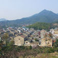 長嶺村(安徽省六安市金安區中店鄉下轄村) 長嶺村(安徽省六安市金安區中店鄉下轄村)