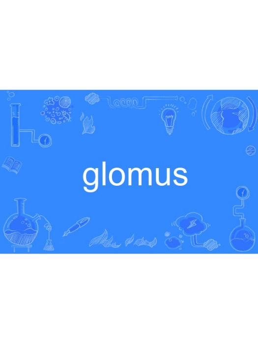 glomus glomus