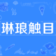 琳琅觸目 琳琅觸目