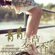 青青麥草香 青青麥草香