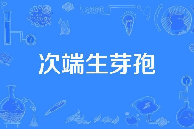 次端生芽孢 次端生芽孢