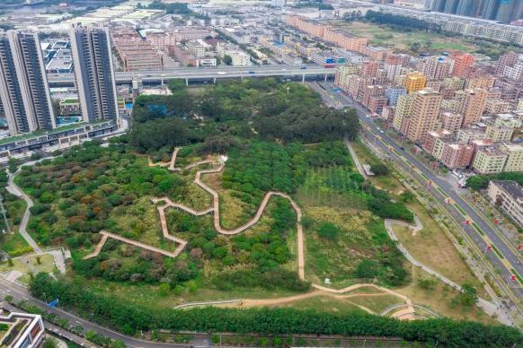 龜山公園(廣東省深圳市光明區的城市公園) 龜山公園(廣東省深圳市光明區的城市公園)