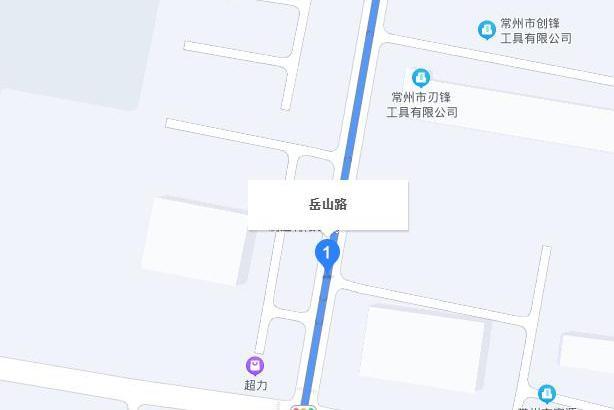 岳山路(常州市岳山路) 岳山路(常州市岳山路)