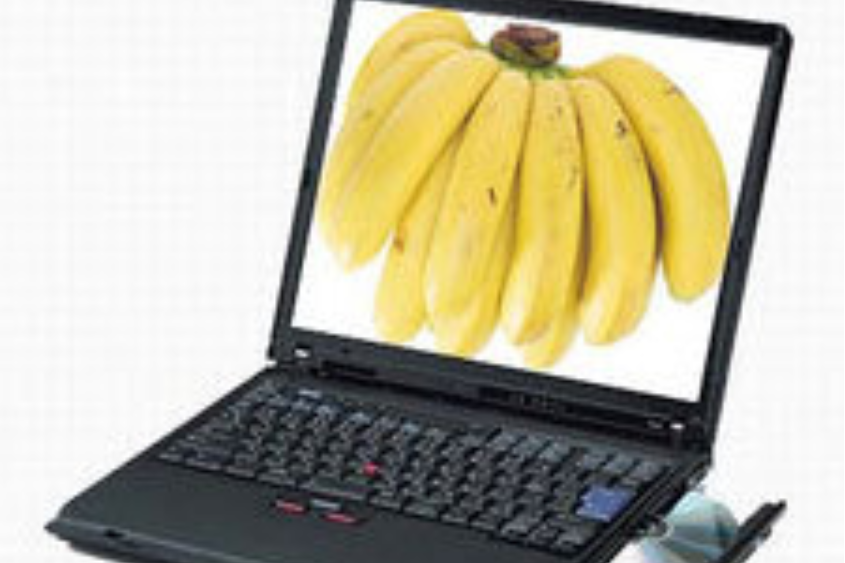 ThinkPad R50e 1834KDC ThinkPad R50e 1834KDC