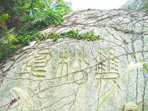 鷺峰寨 鷺峰寨