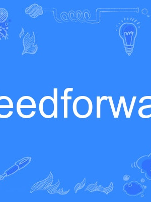 feedforward feedforward