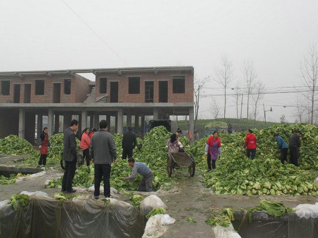 包家鎮 包家鎮