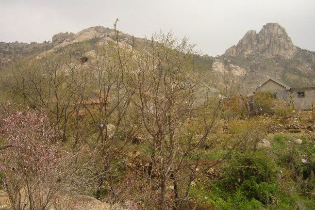 毛家山遺址 毛家山遺址