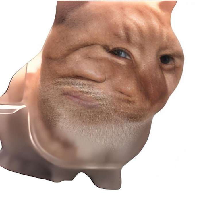 凍乾貓meme 凍乾貓meme