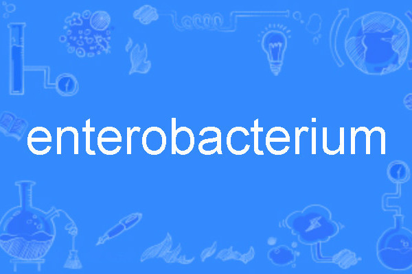 enterobacterium enterobacterium