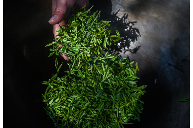 西湖龍井(綠茶製作技藝)