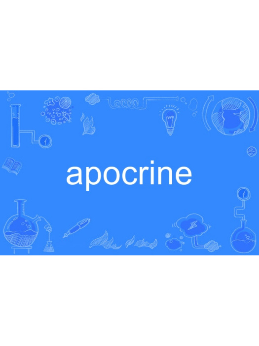 apocrine