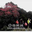 西陽 西陽