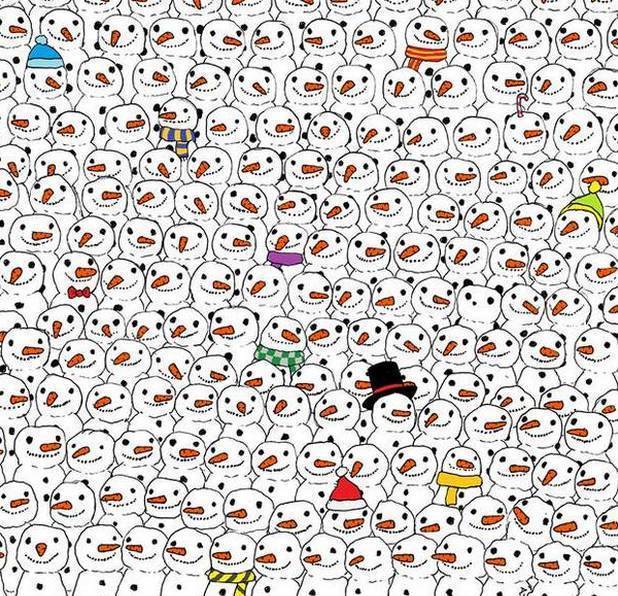 找熊貓