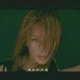 北斗星(溫嵐演唱歌曲) 北斗星(溫嵐演唱歌曲)