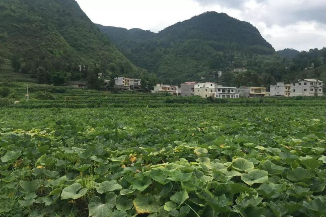 外尖村 外尖村