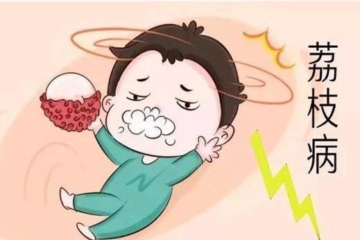 荔枝病 荔枝病