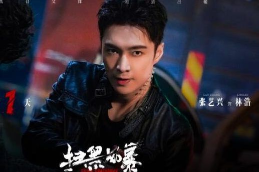 林浩(電視劇《掃黑風暴》中的男主角) 林浩(電視劇《掃黑風暴》中的男主角)