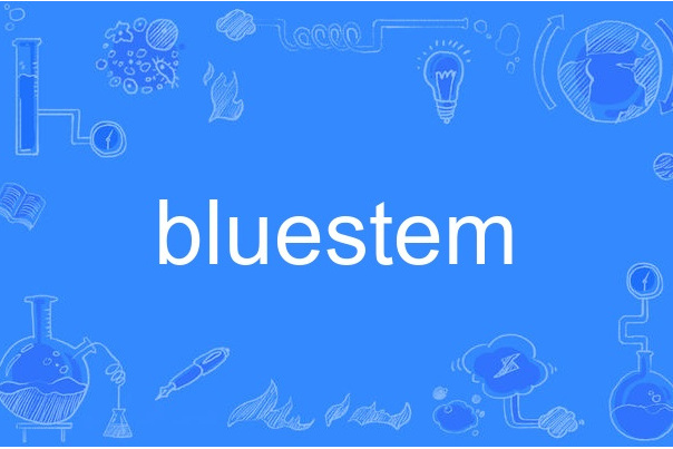bluestem bluestem
