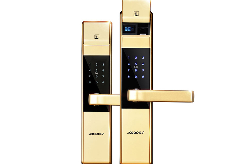 凱迪仕5005 凱迪仕5005