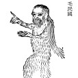 毛民國(《山海經》中的虛構國家) 毛民國(《山海經》中的虛構國家)