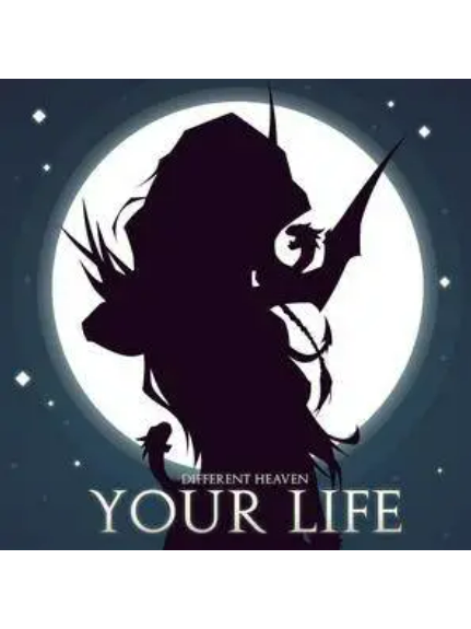 Your Life(2016年Different Heaven演唱的歌曲) Your Life(2016年Different Heaven演唱的歌曲)