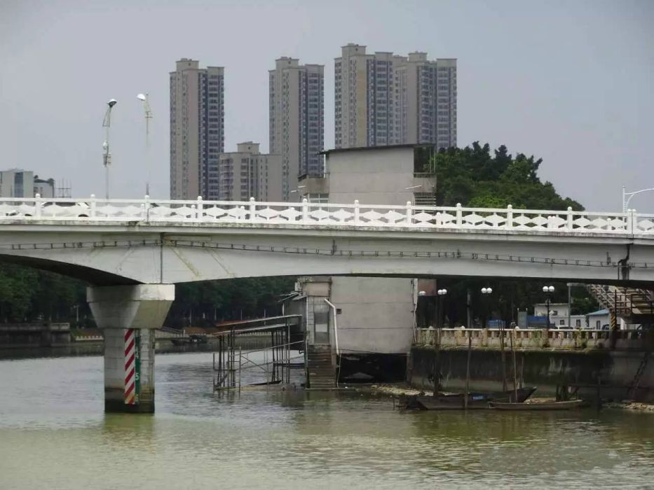 市橋大橋 市橋大橋