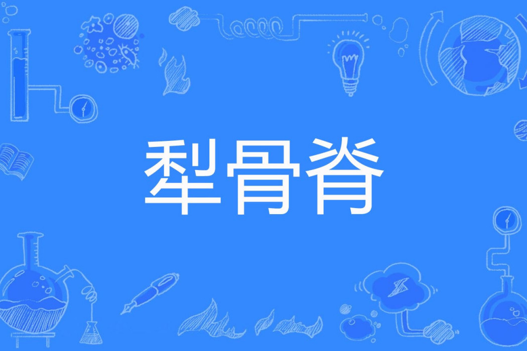 犁骨脊
