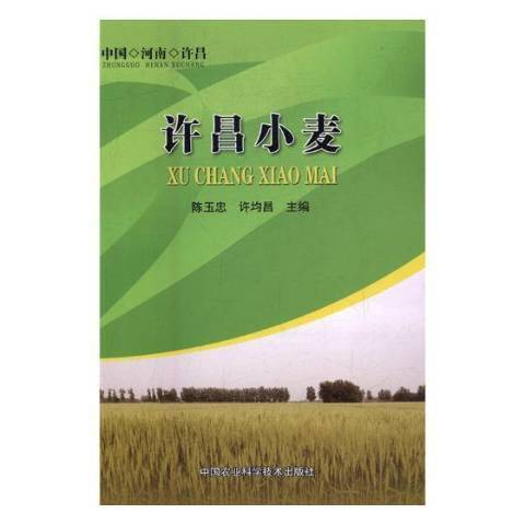 許昌小麥 許昌小麥