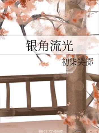 銀角流光