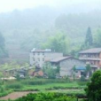 尋坊村 尋坊村