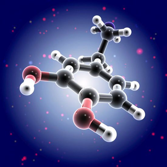 多巴胺學說 多巴胺學說