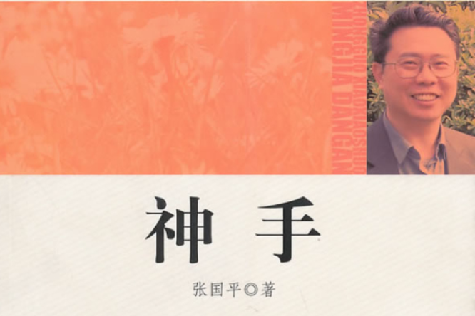 神手(2010年光明日報出版社出版的圖書) 神手(2010年光明日報出版社出版的圖書)