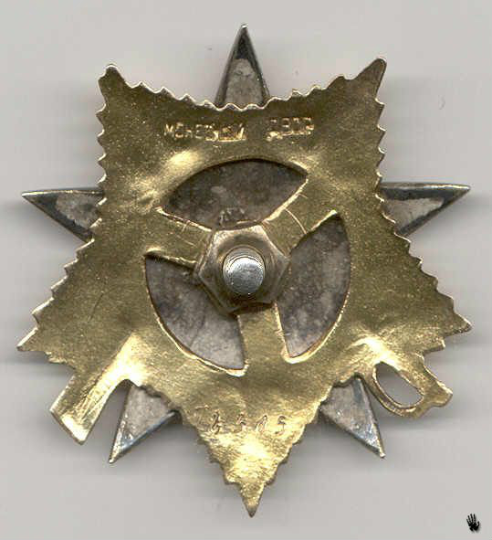 衛國戰爭勳章
