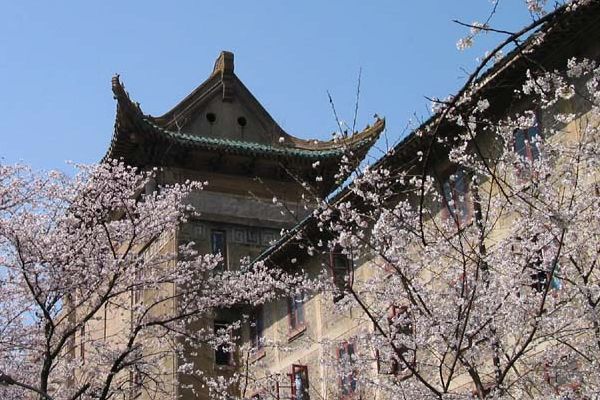武大櫻園