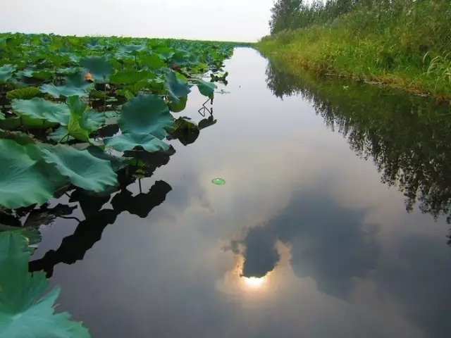 滕州濱湖國家濕地公園