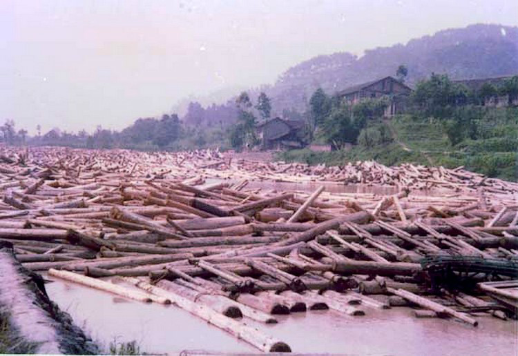 大渡河上游地區的木材運輸