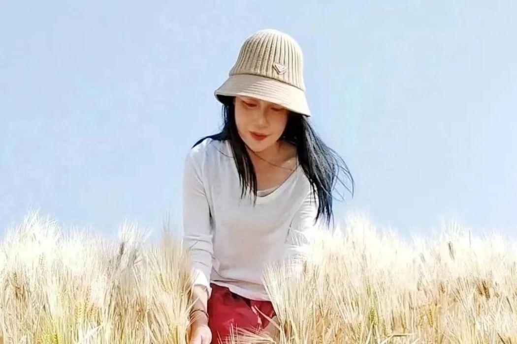 趙麗蘭 趙麗蘭