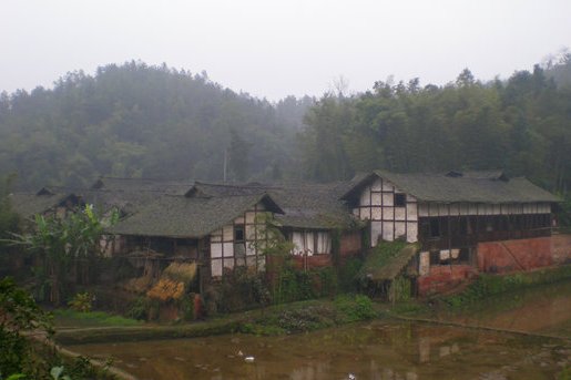 水鴨池村 水鴨池村