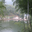 良村村(浙江省安吉縣良朋鎮良村村) 良村村(浙江省安吉縣良朋鎮良村村)