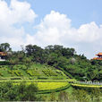 蓮花山(廣東省汕尾市蓮花山) 蓮花山(廣東省汕尾市蓮花山)