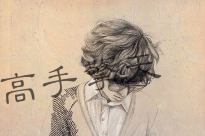 高手擎天 高手擎天